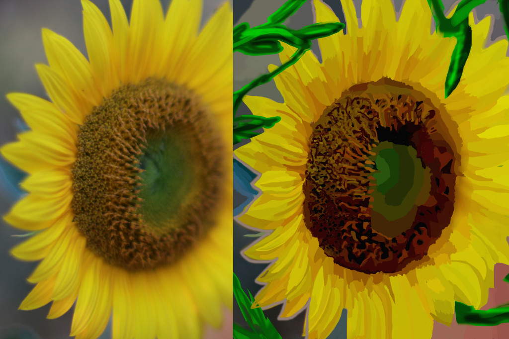 Sunflower In Tuscany