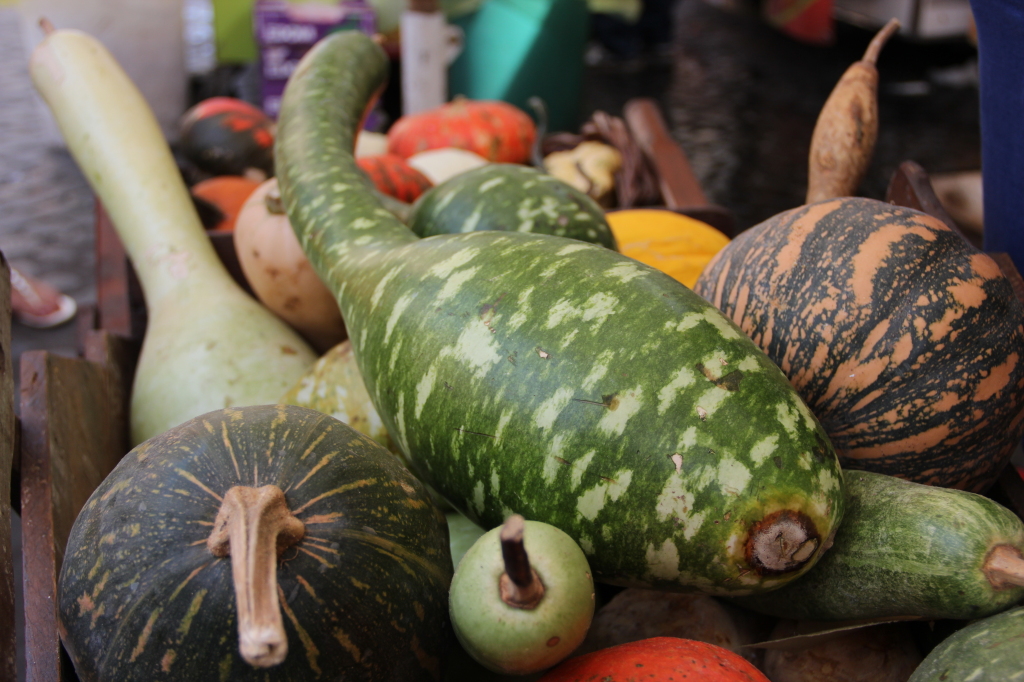 Campo de’ Fiori market is an outdoor market open everyday from 9am-3pm in Rome, Italy. 