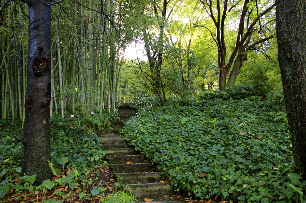 Botantical Gardens. Rome, Italy.